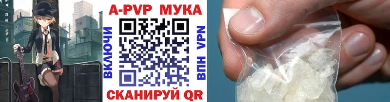 дарнет шоп  Великий Новгород  A-PVP СК 