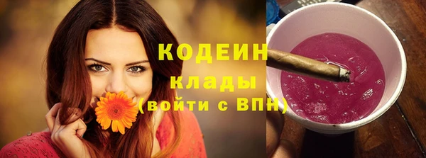 метадон Няндома