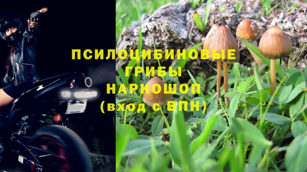 эйфоретик Нягань