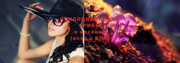 метадон Няндома
