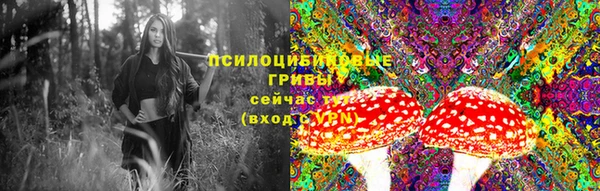 метадон Няндома
