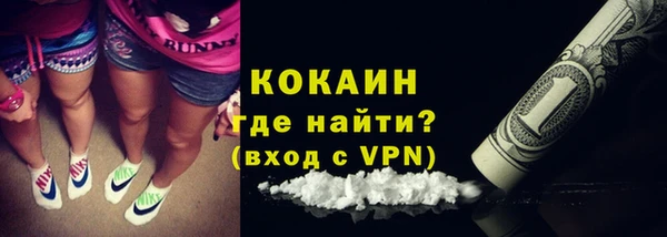 стаф Осташков