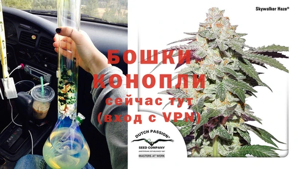 метадон Няндома