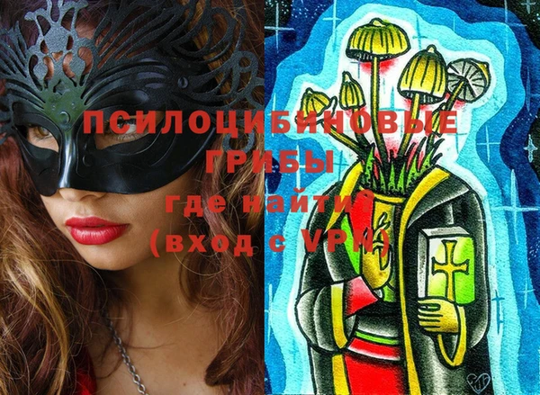 метадон Няндома