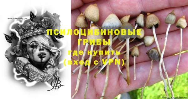 метадон Няндома