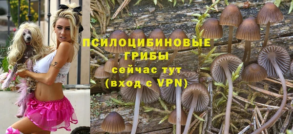 круглые Осинники