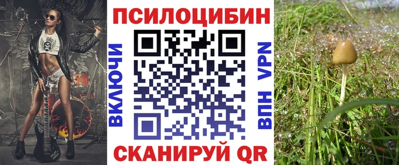 блэк спрут зеркало  Великий Новгород  Псилоцибиновые грибы прущие грибы 